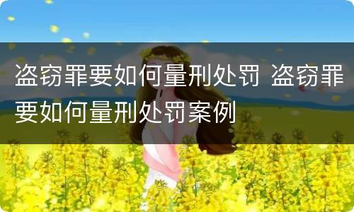 盗窃罪要如何量刑处罚 盗窃罪要如何量刑处罚案例