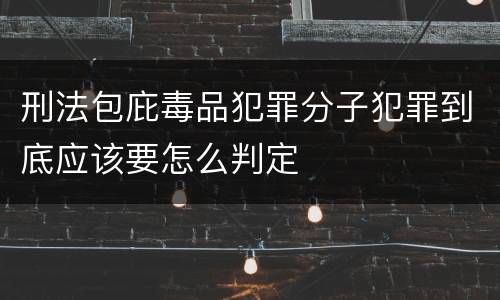 刑法包庇毒品犯罪分子犯罪到底应该要怎么判定