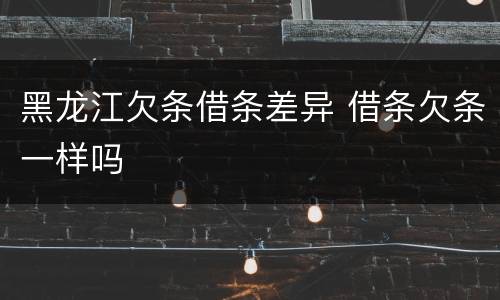 黑龙江欠条借条差异 借条欠条一样吗