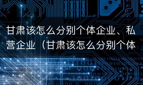 甘肃该怎么分别个体企业、私营企业（甘肃该怎么分别个体企业,私营企业和国企）