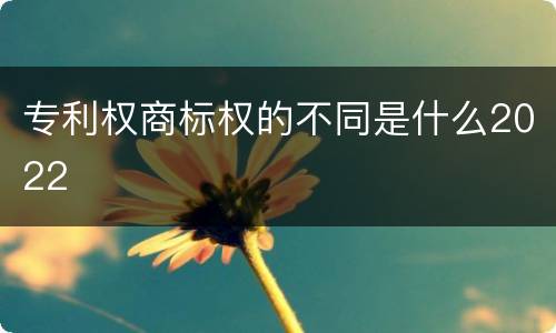 专利权商标权的不同是什么2022