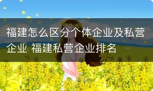 福建怎么区分个体企业及私营企业 福建私营企业排名