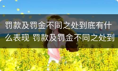 罚款及罚金不同之处到底有什么表现 罚款及罚金不同之处到底有什么表现呢