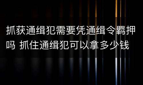 抓获通缉犯需要凭通缉令羁押吗 抓住通缉犯可以拿多少钱