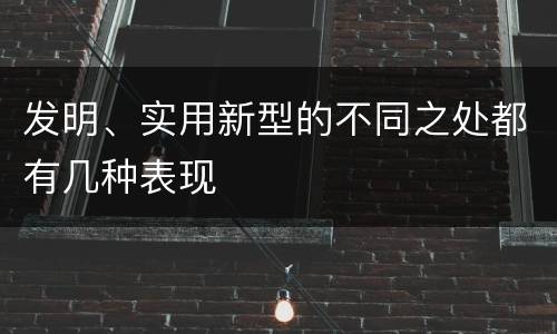 发明、实用新型的不同之处都有几种表现