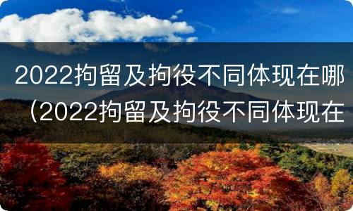 2022拘留及拘役不同体现在哪（2022拘留及拘役不同体现在哪方面）