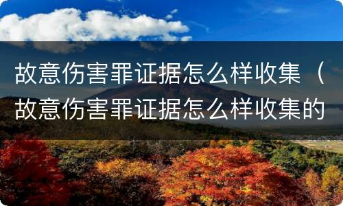 故意伤害罪证据怎么样收集（故意伤害罪证据怎么样收集的）