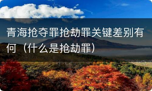青海抢夺罪抢劫罪关键差别有何（什么是抢劫罪）