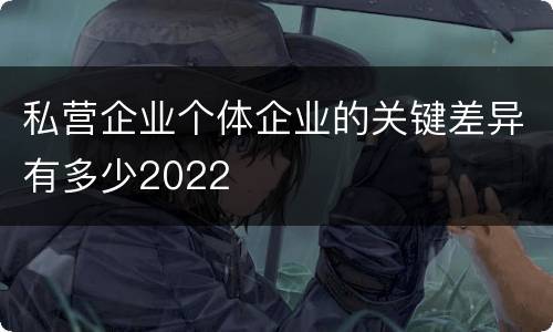 私营企业个体企业的关键差异有多少2022