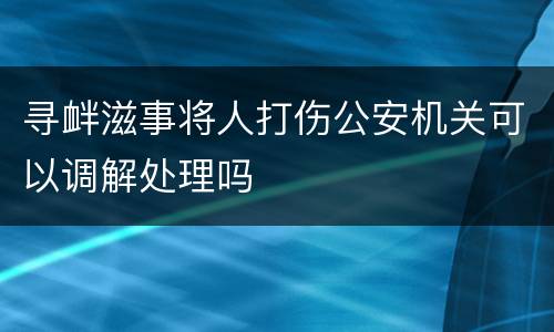 寻衅滋事将人打伤公安机关可以调解处理吗