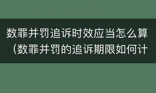 数罪并罚追诉时效应当怎么算（数罪并罚的追诉期限如何计算）