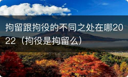 拘留跟拘役的不同之处在哪2022（拘役是拘留么）