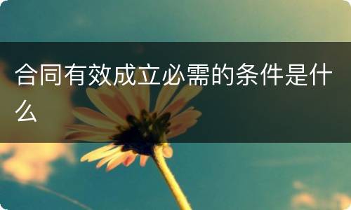 合同有效成立必需的条件是什么