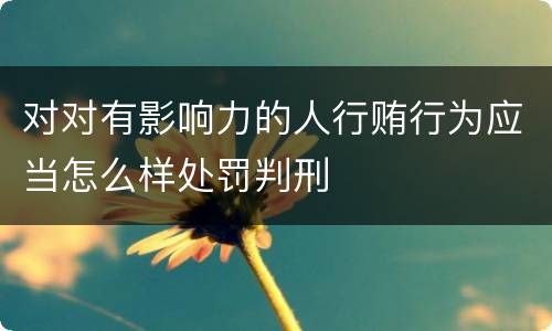 对对有影响力的人行贿行为应当怎么样处罚判刑
