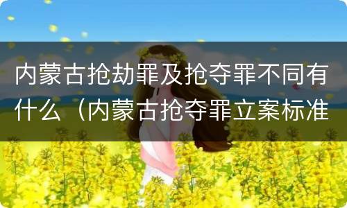 内蒙古抢劫罪及抢夺罪不同有什么（内蒙古抢夺罪立案标准）