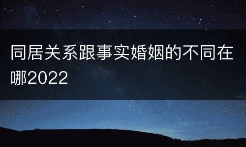 同居关系跟事实婚姻的不同在哪2022
