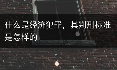 什么是经济犯罪，其判刑标准是怎样的