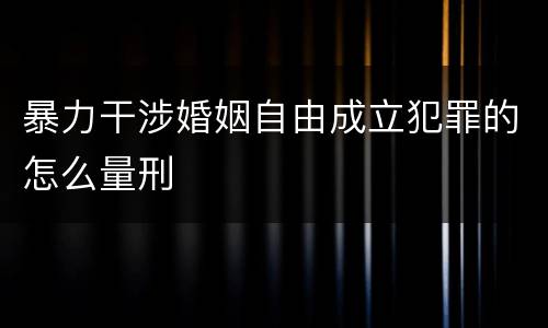 暴力干涉婚姻自由成立犯罪的怎么量刑