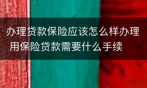 办理贷款保险应该怎么样办理 用保险贷款需要什么手续