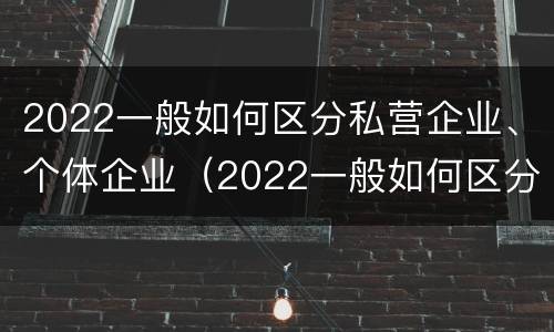 2022一般如何区分私营企业、个体企业（2022一般如何区分私营企业,个体企业和公司）