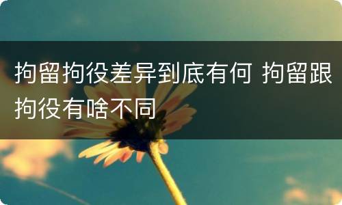 拘留拘役差异到底有何 拘留跟拘役有啥不同