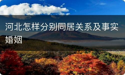 河北怎样分别同居关系及事实婚姻