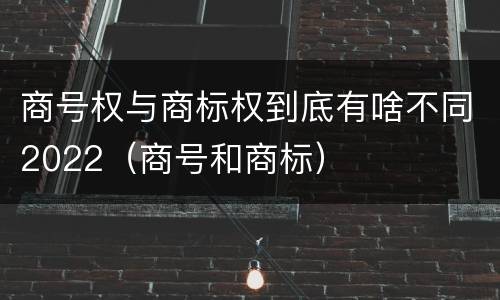 商号权与商标权到底有啥不同2022（商号和商标）