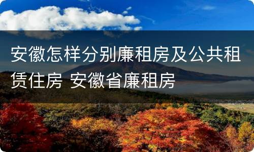 安徽怎样分别廉租房及公共租赁住房 安徽省廉租房