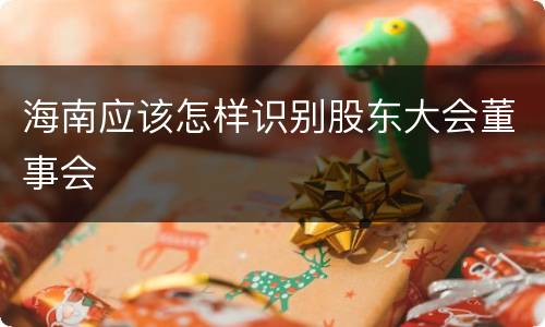 海南应该怎样识别股东大会董事会