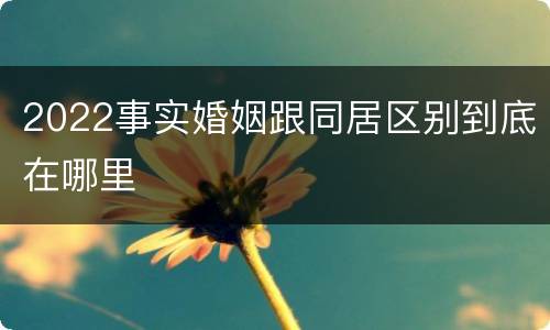 2022事实婚姻跟同居区别到底在哪里