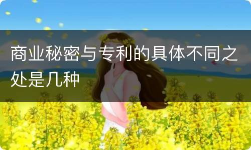 商业秘密与专利的具体不同之处是几种