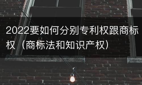 2022要如何分别专利权跟商标权（商标法和知识产权）