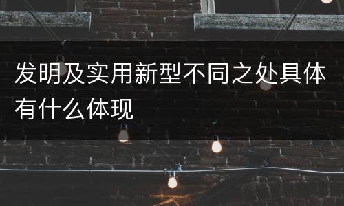 发明及实用新型不同之处具体有什么体现