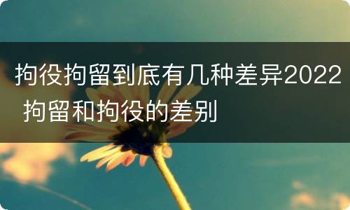 拘役拘留到底有几种差异2022 拘留和拘役的差别