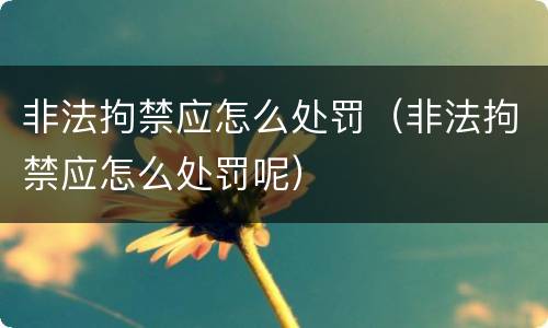 非法拘禁应怎么处罚（非法拘禁应怎么处罚呢）