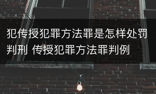 犯传授犯罪方法罪是怎样处罚判刑 传授犯罪方法罪判例