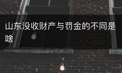 山东没收财产与罚金的不同是啥