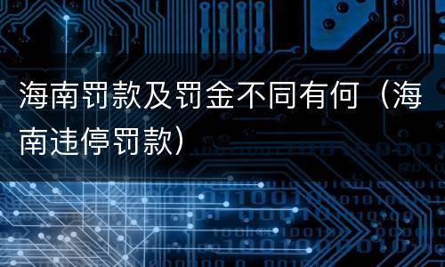 海南罚款及罚金不同有何（海南违停罚款）