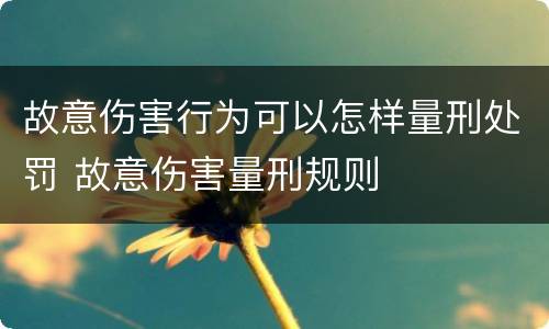 故意伤害行为可以怎样量刑处罚 故意伤害量刑规则