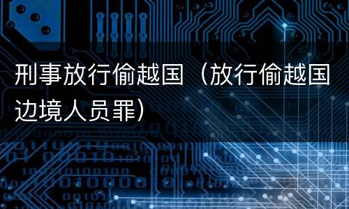 刑事放行偷越国（放行偷越国边境人员罪）
