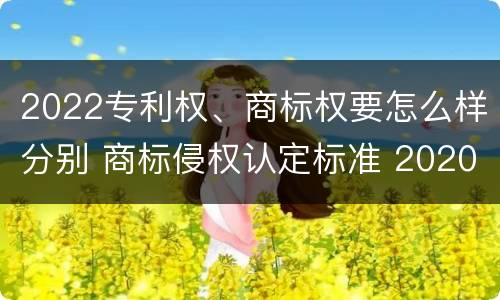 2022专利权、商标权要怎么样分别 商标侵权认定标准 2020