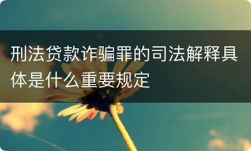 刑法贷款诈骗罪的司法解释具体是什么重要规定