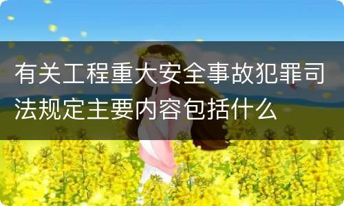 有关工程重大安全事故犯罪司法规定主要内容包括什么