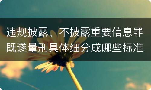 违规披露、不披露重要信息罪既遂量刑具体细分成哪些标准