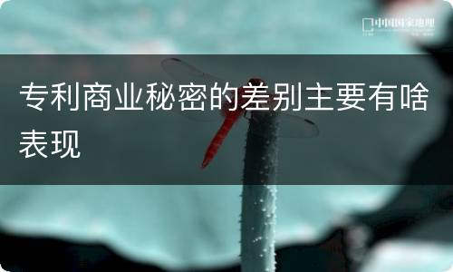专利商业秘密的差别主要有啥表现