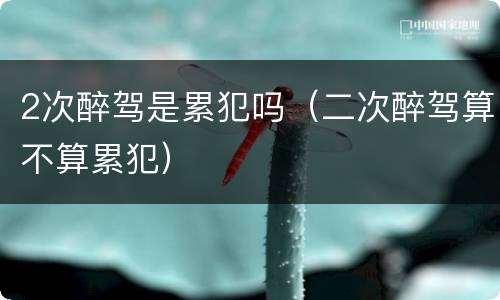 2次醉驾是累犯吗（二次醉驾算不算累犯）