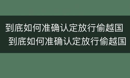 到底如何准确认定放行偷越国 到底如何准确认定放行偷越国货品