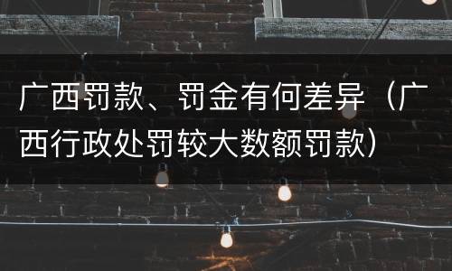 广西罚款、罚金有何差异（广西行政处罚较大数额罚款）