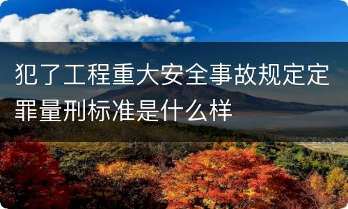 犯了工程重大安全事故规定定罪量刑标准是什么样