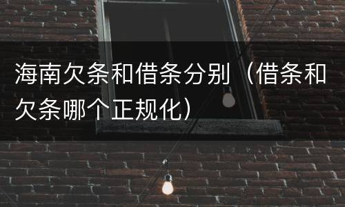 海南欠条和借条分别（借条和欠条哪个正规化）